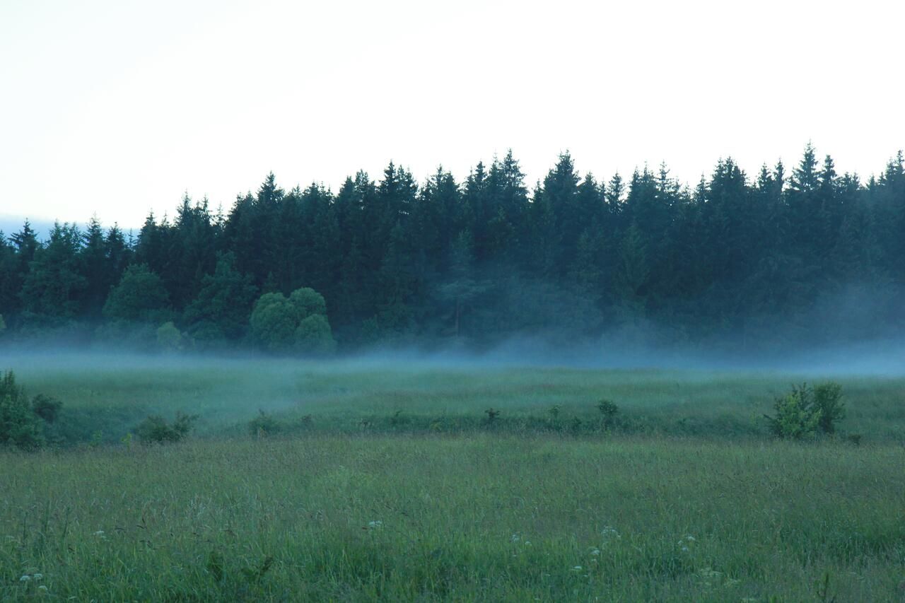 Дома для отпуска Mazury - Dom przy Cisowym Jarze Kowale Oleckie-41