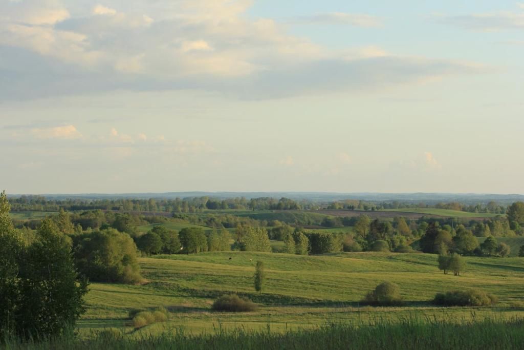 Дома для отпуска Mazury - Dom przy Cisowym Jarze Kowale Oleckie